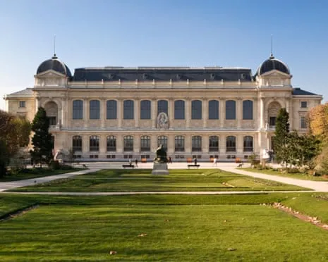 Invaluable Gold Pieces Taken in Audacious Raid at France's National Institution