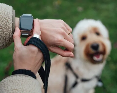 The Honest Scoop About Wearable Tech? Life Is Better Devoid of a Bossy Gadget on Your Arm
